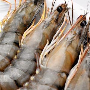 crevettes-crues-barbecue-recette crevettes-crues-barbecue-recette