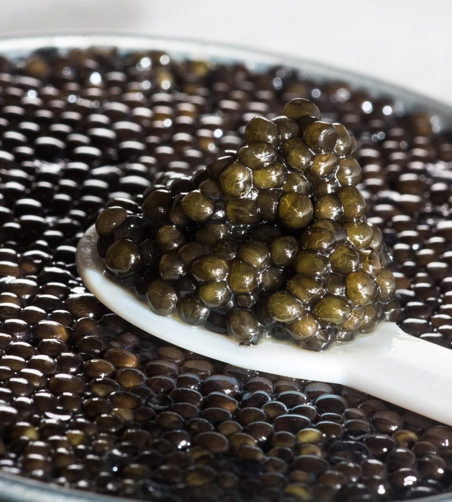 Caviar-de-france-Biganos-33-Aquitaine-France-©PhilippeLabeguerie